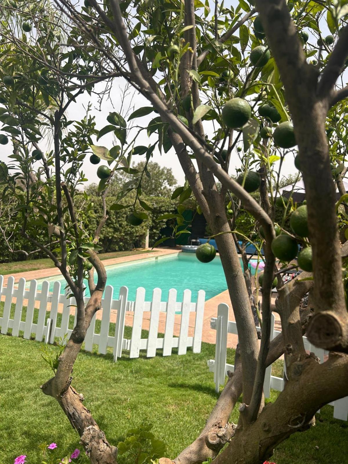 Villa Orangeraie Agadir Kültér fotó